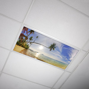 octo classrooms diffuser